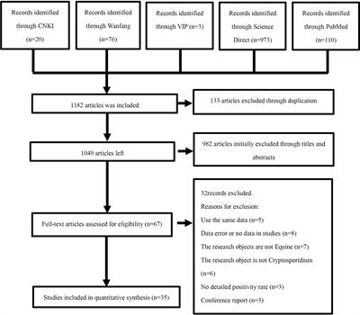 Global prevalence and risk factors of Cryptosporidium infection in Equus: A systematic review and meta-analysis